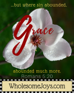 Romans 5:20 Grace abounds much more