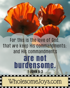 1 John 5:3 Love keep His commandments