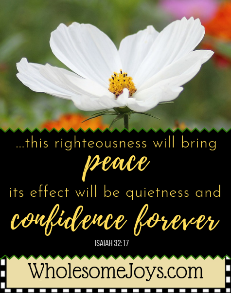 Isaiah 32:17 Righteousness will bring peace