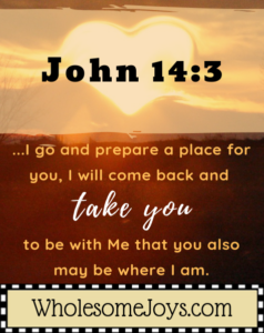 John 14:3 Prepare a place for you