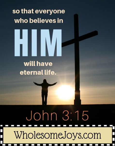 John 3:15 so that everyone believes in Him