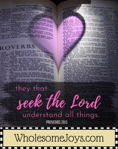 Proverbs 28_5 seek the Lord understand all things