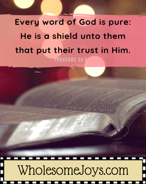 Proverbs 30_5 Every word of God is pure