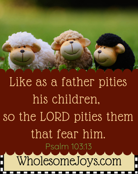 Psalm 103:13 Like as a father pities children