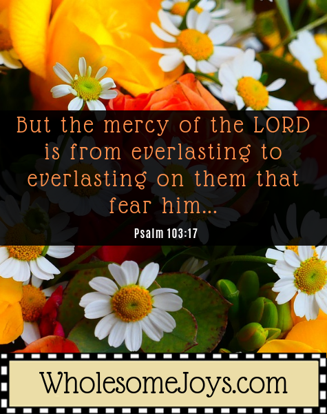 Psalm 103:17 The mercy of the Lord from everlasting
