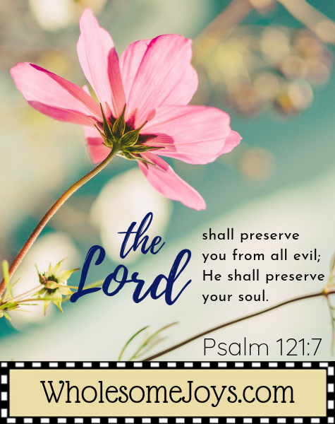 Psalm 121:7 The Lord shall preserve you