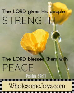 Psalm 29:11 Lord gives His people strength