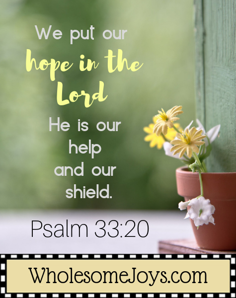 Psalm 33:20 Hope in the Lord