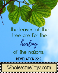 Revelation 22_2 Leaves of the tree of life healing