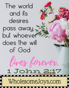 1 John 2:17 The world and its desires pass away
