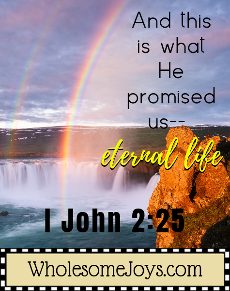 1 John 2:25 He promised us eternal life