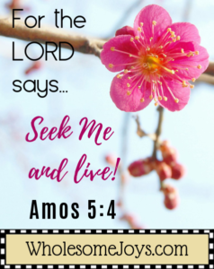 Amos 5:4 Lord says seek me and live