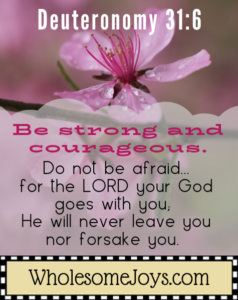 Deuteronomy 31:6 Be strong and courageous