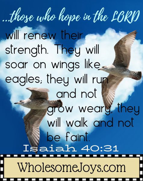 Isaiah 40:31 Those who hope in the LORD