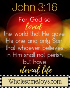 John 3:16 For God so loved the world