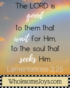 Lamentations 3_25 The Lord is good to them that wait