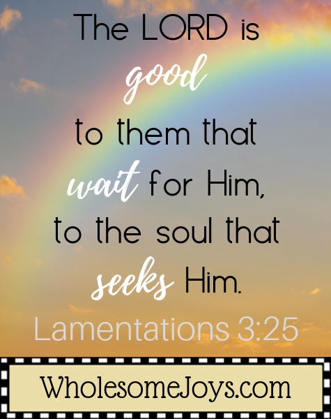 Lamentations 3_25 The Lord is good to them that wait