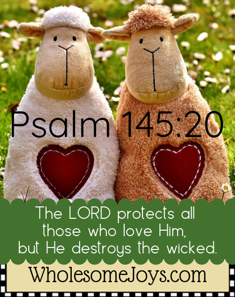 Psalm 145:20 The LORD protects all those who love Him