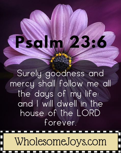 Psalm 23:6 Surely goodness and mercy follow me