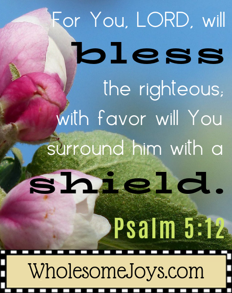 Psalm 5:12 For You Lord will bless the righteous