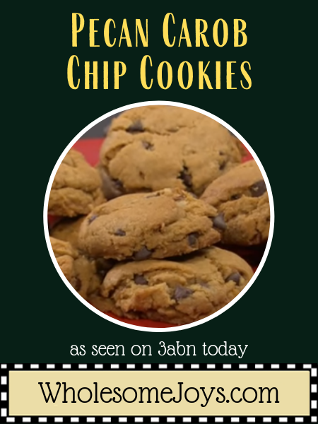 Pecan Carob Chip cookies
